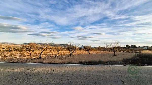 Finca agrícola de 0,43 ha en venta en Murcia