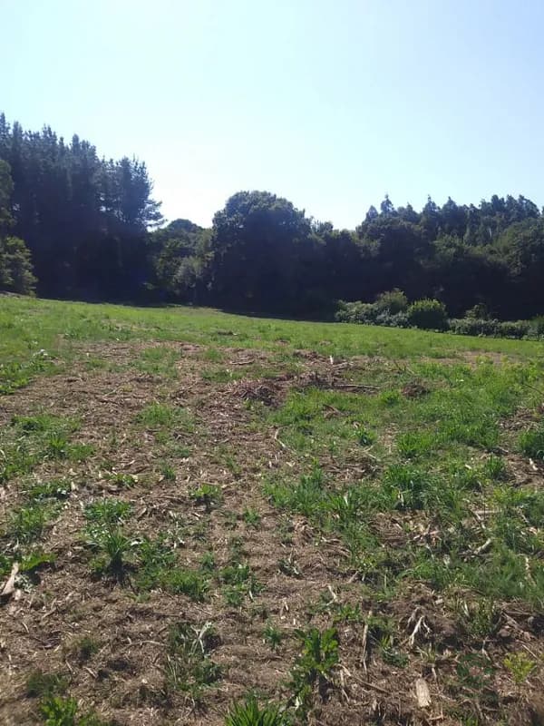 Finca rústica de 0,8 ha en venta en Pol, Lugo