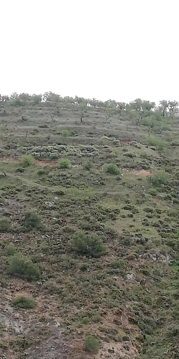 Finca agrícola de 0,8 ha en venta en Durcal, Granada