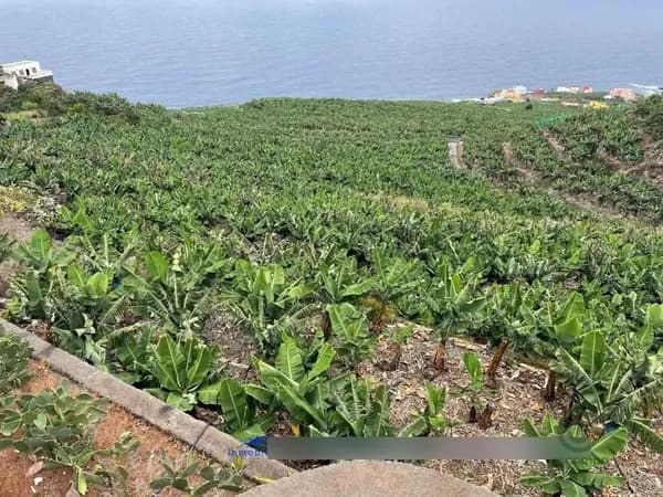 Finca agrícola de 0,0472 ha en venta en San andres y sauces, Santa cruz de tenerife