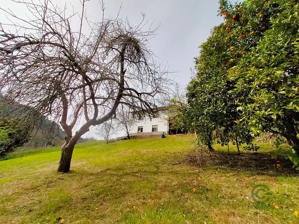 Finca de recreo de 0,07 ha en venta en Asturias