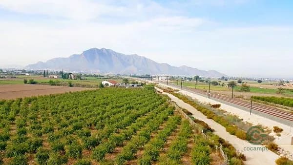 Finca rústica de 4,6816 ha en venta en Callosa de segura, Alicante
