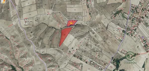 Finca rústica de 1,73 ha en venta en El molar, Madrid