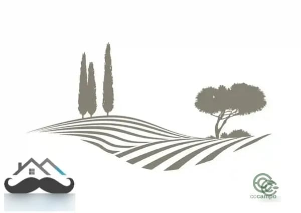 Finca agrícola de 0,92 ha en venta en Ricote, Murcia