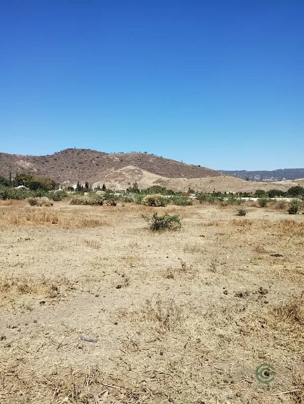 Finca agrícola de 6,31 ha en venta en Jalisco