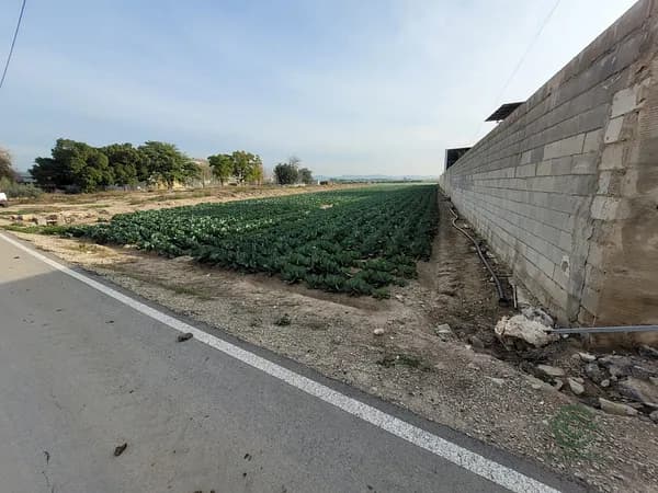 Finca rústica de 0,2 ha en venta en Alicante