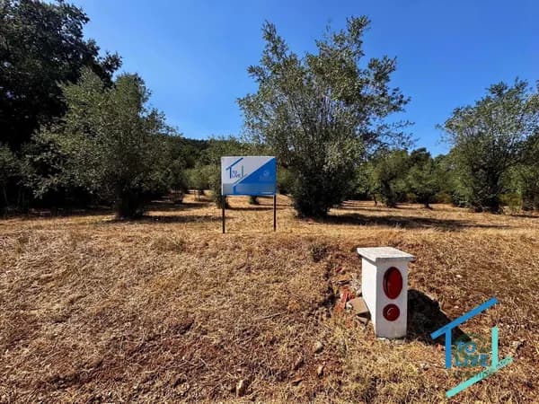 Finca rústica de 0,544 ha en venta en Ferreira do zêzere, Santarém