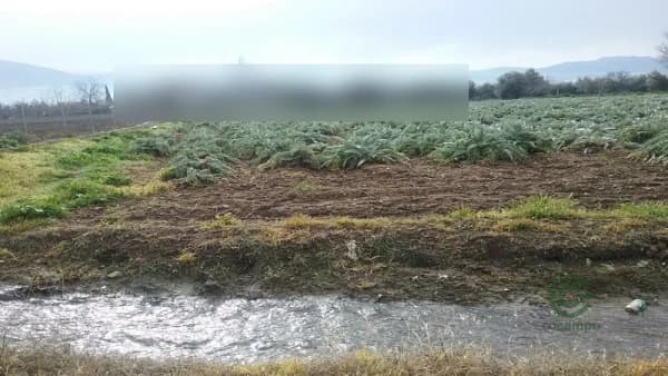 Finca agrícola de 0,153 ha en venta en Granada, Granada