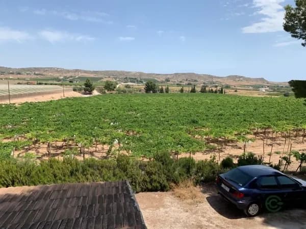 Finca agrícola de 2,18 ha en venta en Aspe, Alicante
