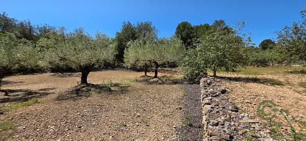 Finca agrícola de 0,4969 ha en venta en El perello, Tarragona