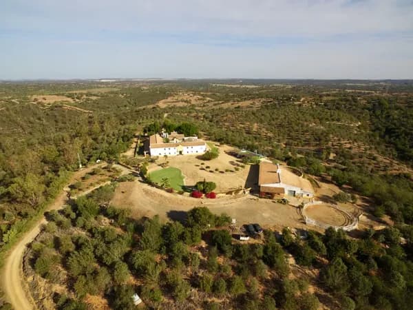 Finca rústica de 89 ha en venta en Sevilla