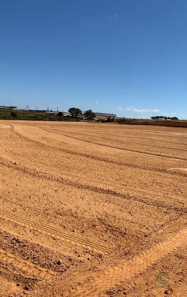 Finca rústica de 1,35 ha en venta en Bollullos par del condado, Huelva