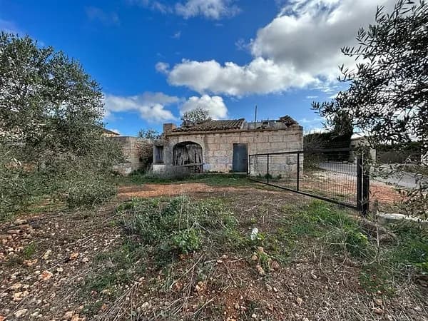 Finca agrícola de 2,8161 ha en venta en Sa pobla, Baleares