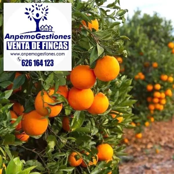 Finca agrícola de 5 ha en venta en Córdoba