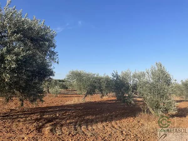 Finca agrícola de 2,18 ha en venta en Aznalcázar, Sevilla