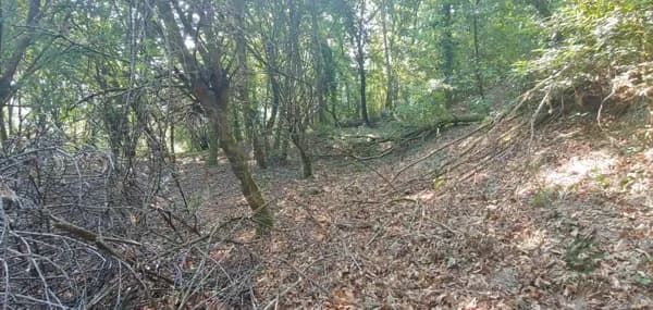 Finca rústica de 0,1722 ha en venta en Crecente, Pontevedra