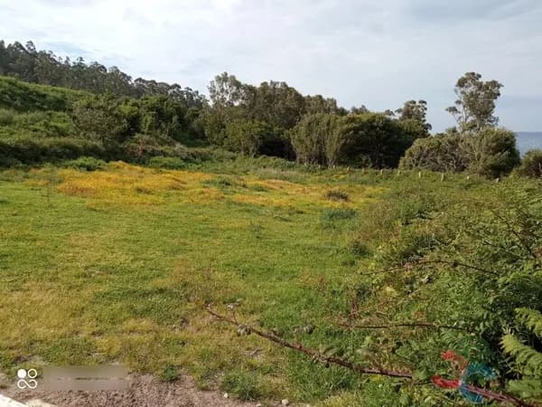Finca rústica de 0,3 ha en venta en Bueu, Pontevedra