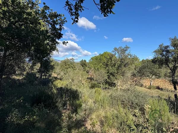 Finca rústica de 1,1 ha en venta en Rabos, Girona