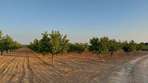 Finca agrícola de 1,89 ha en venta en Albacete