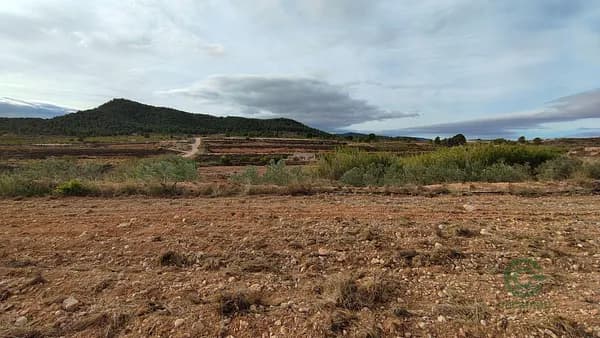 Finca agrícola de 2,2293 ha en venta en Monovar - monover, Alicante