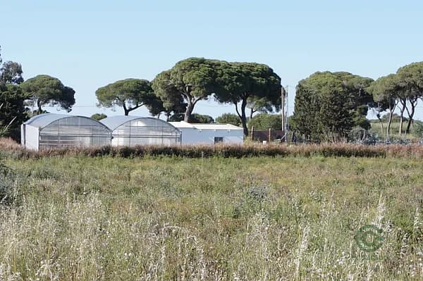 Finca rústica de 0,81 ha en venta en Cádiz
