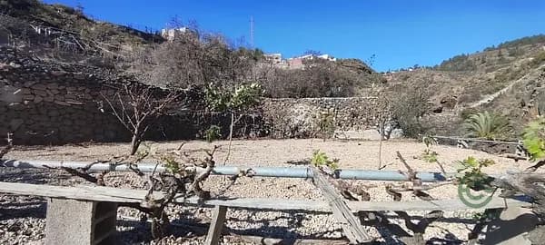 Finca rústica de 0,3775 ha en venta en Granadilla de abona, Santa cruz de tenerife