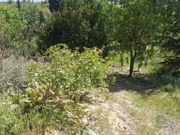 Finca rústica de 7 ha en venta en Granada