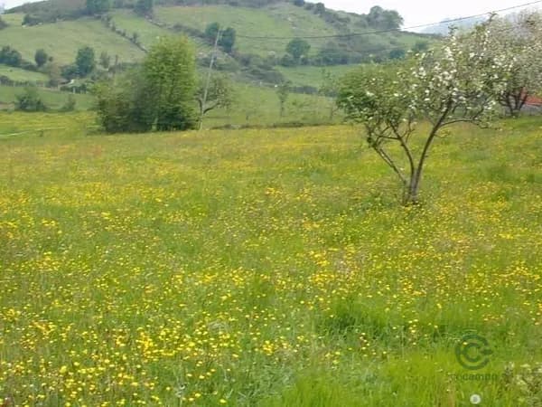 Finca rústica de 0,06 ha en venta en Salas, Asturias