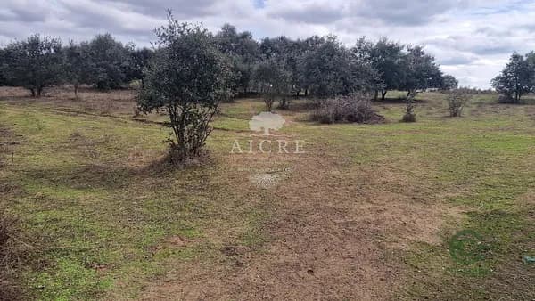 Finca rústica de 0,51 ha en venta en Évora, Évora