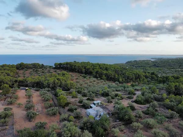 Finca agrícola de 0,5668 ha en venta en L'ametlla de mar, Tarragona