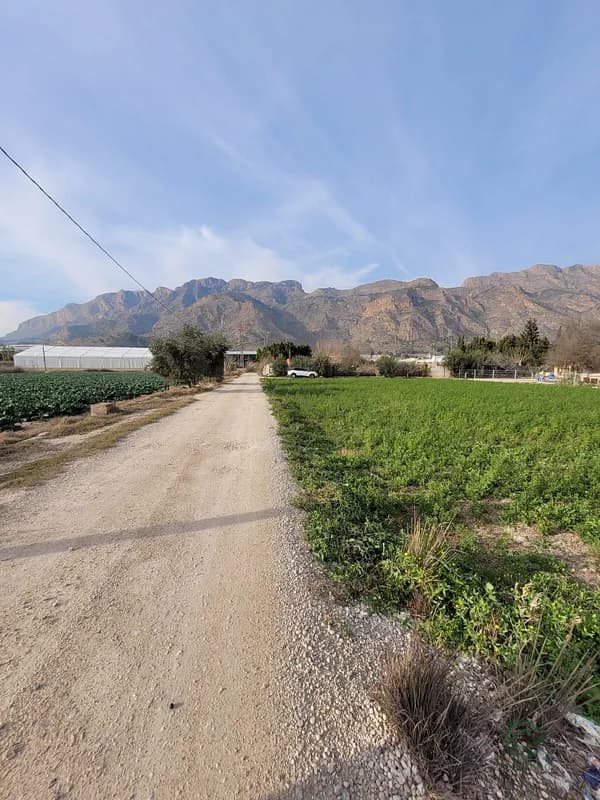 Finca agrícola de 0,13 ha en venta en Alicante