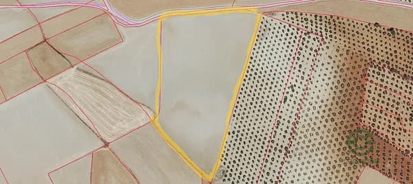 Finca rústica de 2,7841 ha en venta en Berlanga, Badajoz