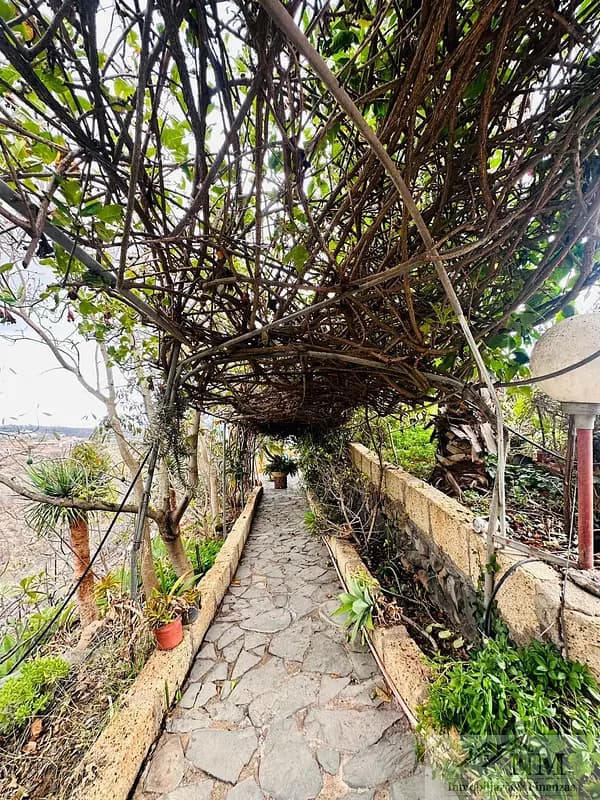 Finca agrícola de 0,4 ha en venta en Guía de isora, Tenerife