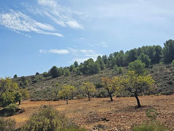 Finca rústica de 6,1208 ha en venta en Fondon, Almeria