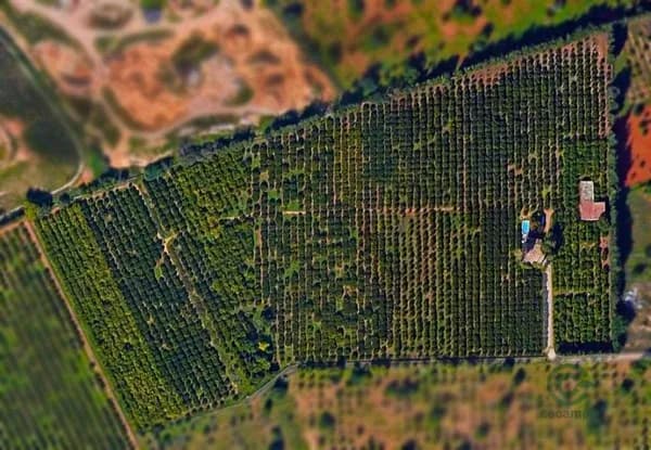 Finca rústica de 7,0745 ha en venta en Marratxí, Baleares