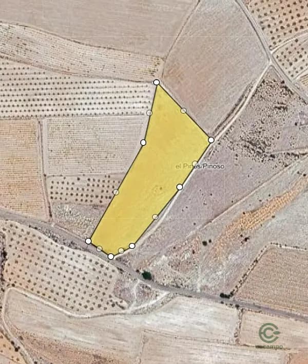Finca agrícola de 1,3836 ha en venta en Pinoso, Alicante