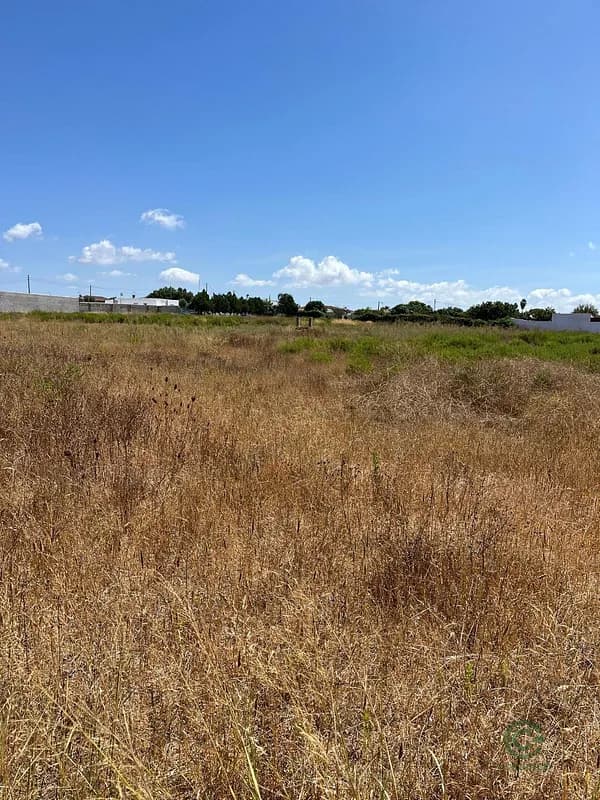 Finca rústica de 0,05 ha en venta en Chiclana de la frontera, Cadiz