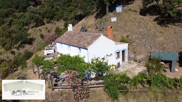 Finca agrícola de 5 ha en venta en Istan, Málaga