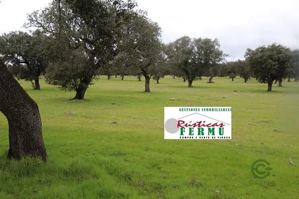 Finca ganadera de 76 ha en venta en Córdoba