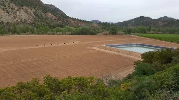 Finca rústica de 77 ha en venta en Albacete