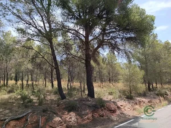 Finca rústica de 0,5468 ha en venta en Totana, Murcia