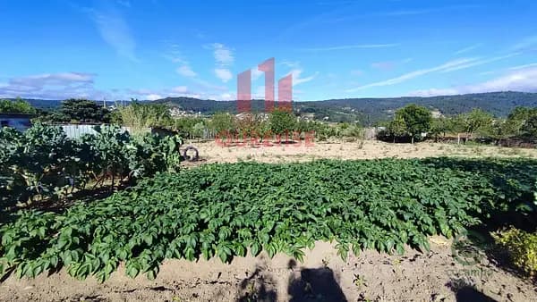 Finca rústica de 0,3537 ha en venta en San cibrao das viñas, Orense