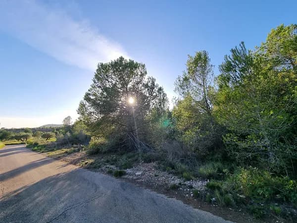 Finca rústica de 2,8454 ha en venta en L'ametlla de mar, Tarragona