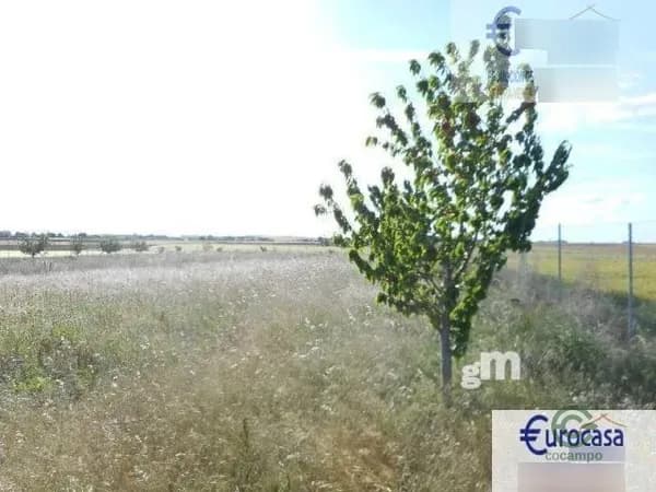 Finca de recreo de 0,77 ha en venta en Zamora, Zamora