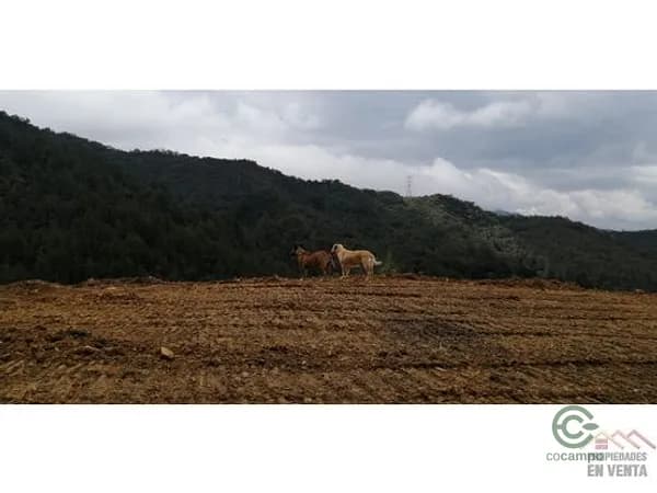 Finca rústica de 0,252 ha en venta en Antioquia