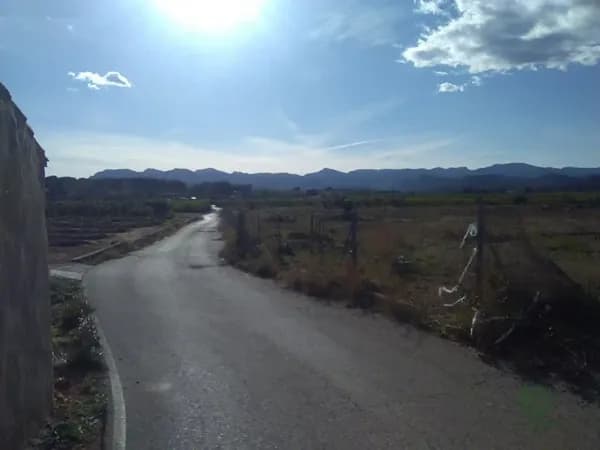 Finca agrícola de 1,6853 ha en venta en Alfara de la baronia, Valencia