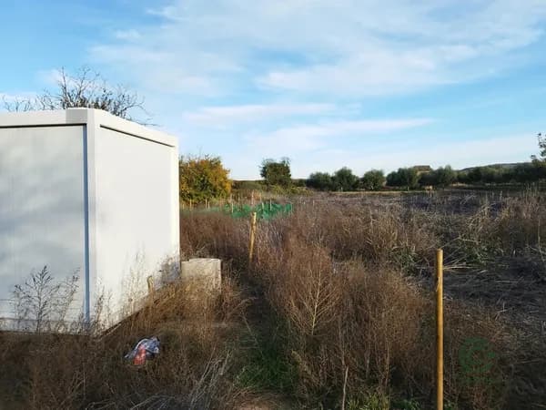 Finca agrícola de 0,13 ha en venta en Castelldans, Lleida
