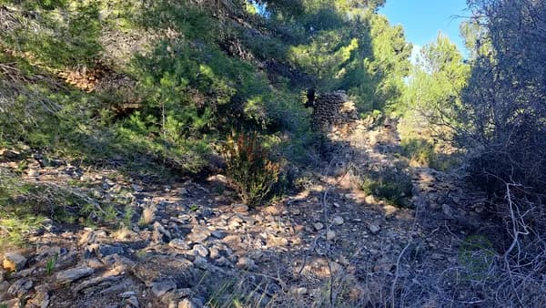 Finca rústica de 3,3 ha en venta en Benissa, Alicante