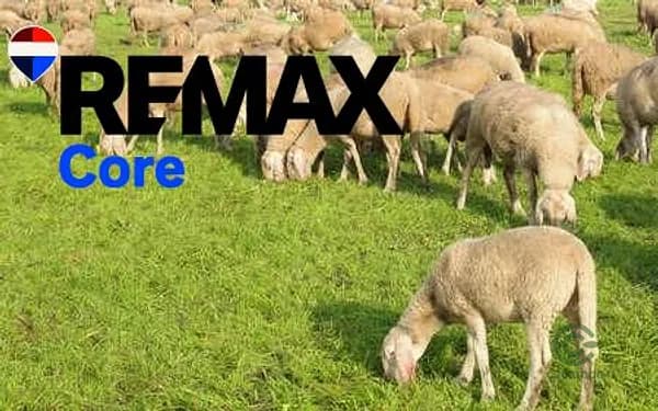 Finca rústica de 255 ha en venta en Cáceres