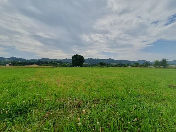 Finca agrícola de 0,08 ha en venta en Grado, Asturias